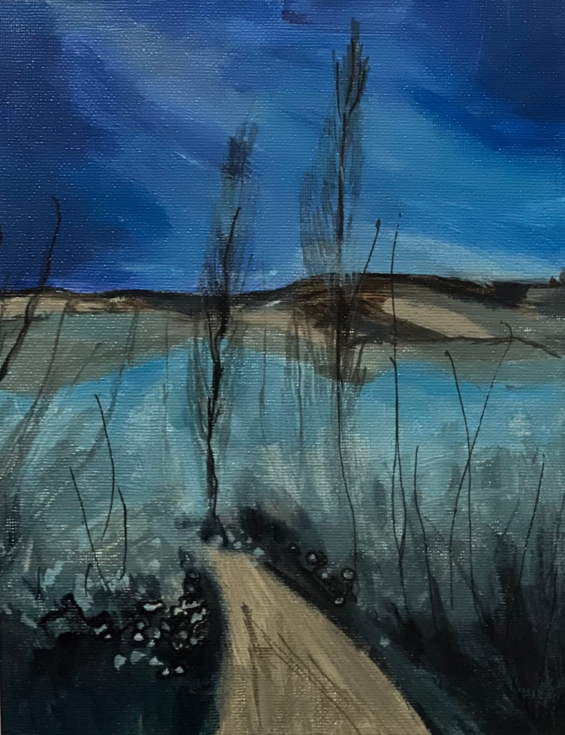 Walk to the Blue Lake