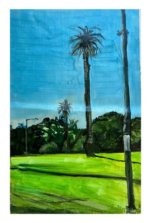 Palms & Shadows (Albert Park 1)